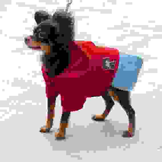 Толстовка для домашних животных с рисунком, хлопок, ПЭ, р. L VETTA