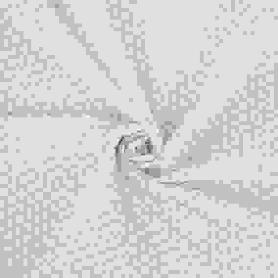 Комплект постельного белья 1,5 (4 предмета), поплин, 100% хлопок Birds PROVANCE