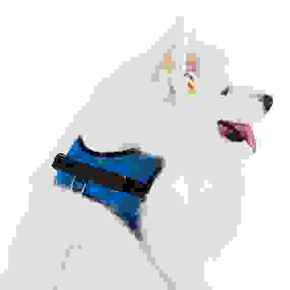 Шлейка для собаки для груди 64-86 см