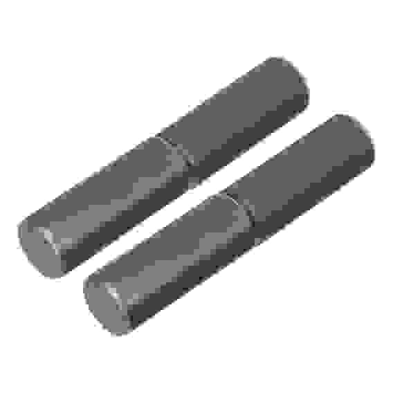 Петля гаражная с шаром d 32*160мм, 2 шт., Россия// Сибртех