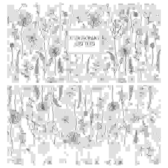 Конверт для денег MESHU &quot;Meadow&quot; 85*164мм, матовая ламинация, 4 дизайна