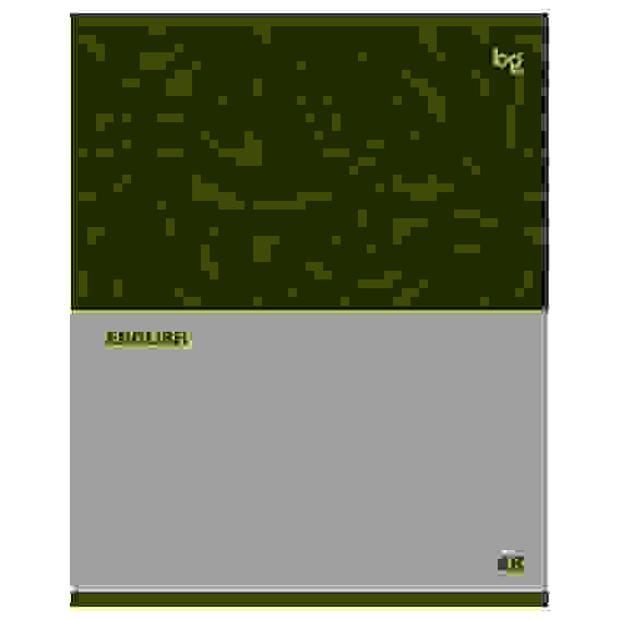 Тетрадь предметная 48л. BG &quot;Single colour&quot; - Английский язык, эконом