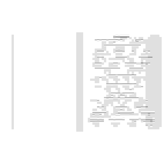 Тетрадь предметная 48л. BG &quot;Single colour&quot; - Физика, эконом