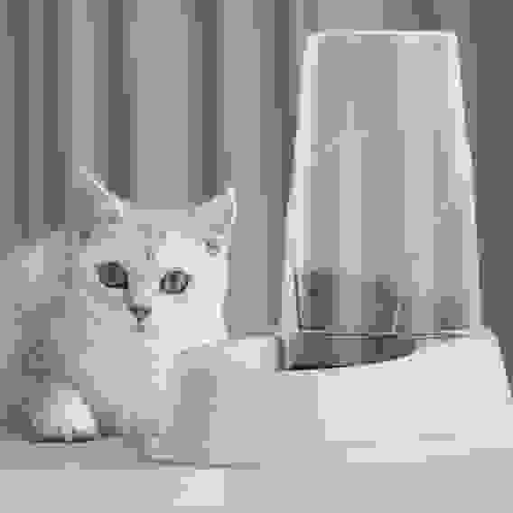 Автокормушка и автопоилка ALTA для кошек и собак 1,5л(бежевая)