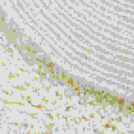 Коврик для ванной 40х60см овал TERNI кремовый, хлопок, SWM-6010-CRM-B