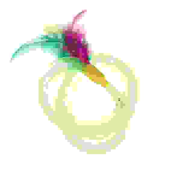 Игрушка для домашних животных, ПЭ VETTA