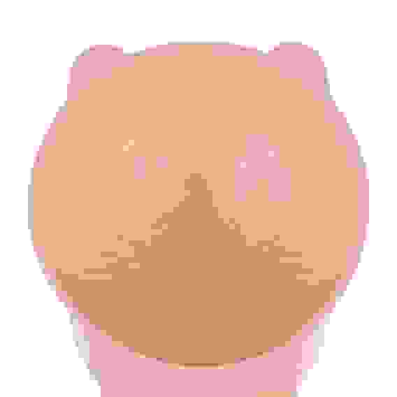 Миска для домашних животных, пластмасса, 10,5х13 см, 250 мл, с лапками VETTA