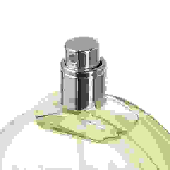 Туалетная вода женская Vinci Charme Fortuna, 100 мл.