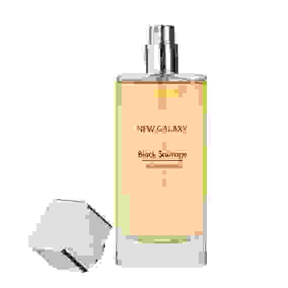 Парфюмерная вода мужская Black Sauvage, 100 мл NEW GALAXY