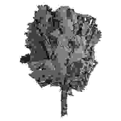 Веник дубовый в уп. &quot;Банные штучки&quot; /25