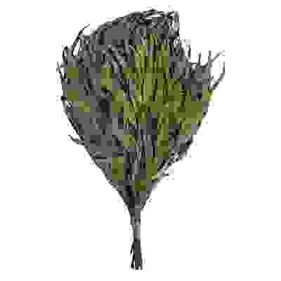 Веник эвкалиптовый в уп. &quot;Банные штучки&quot;/50