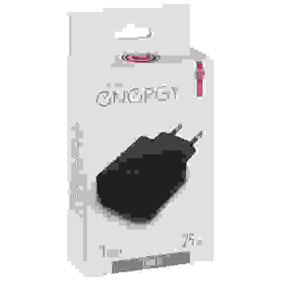 Сетевое зарядное устройство Energy ET-41 PRO, 25 Вт, цвет черный