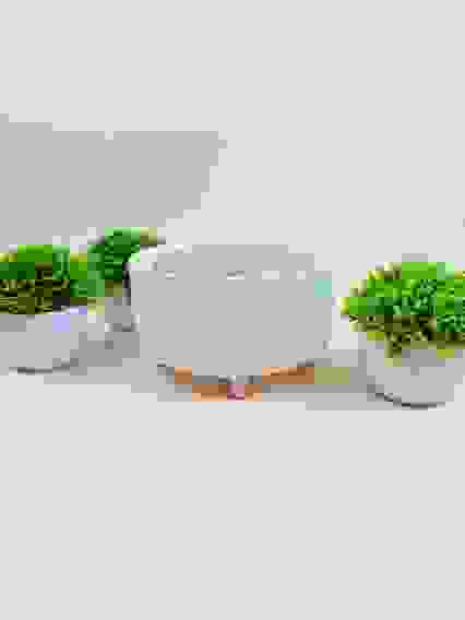 Ведро мусорное настольное OLS-480-11