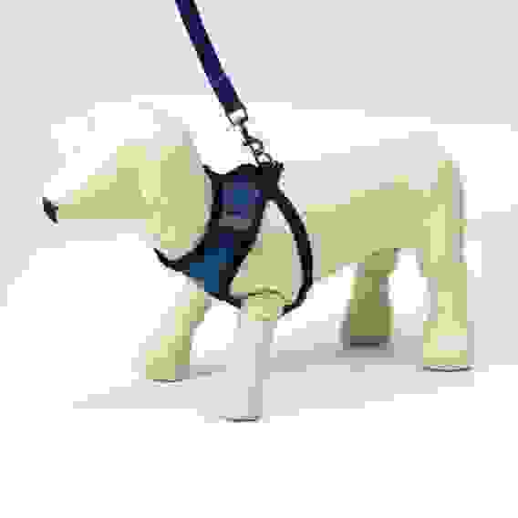 Шлейка с поводком, размер M, ОШ 26, ОГ 36-44, с светоотражающей нашивкой, мягкая, синяя