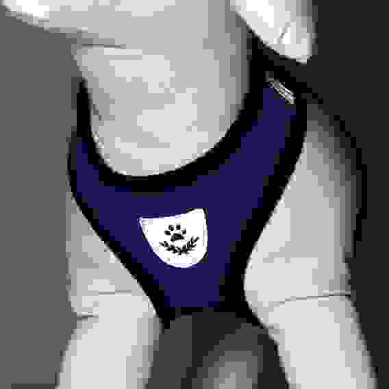 Шлейка с поводком, размер M, ОШ 26, ОГ 36-44, с светоотражающей нашивкой, мягкая, синяя