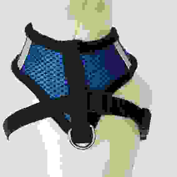 Шлейка с поводком, размер M, ОШ 26, ОГ 36-44, с светоотражающей нашивкой, мягкая, синяя