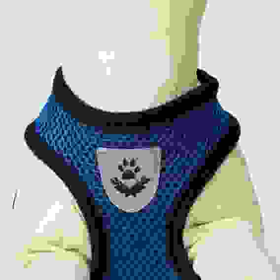 Шлейка с поводком, размер M, ОШ 26, ОГ 36-44, с светоотражающей нашивкой, мягкая, синяя