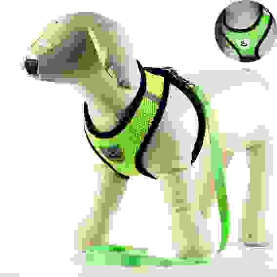 Шлейка с поводком, размер M, ОШ 26 см, ОГ 36-44 см, с светоотражающей нашивкой, мягкая, зелёная