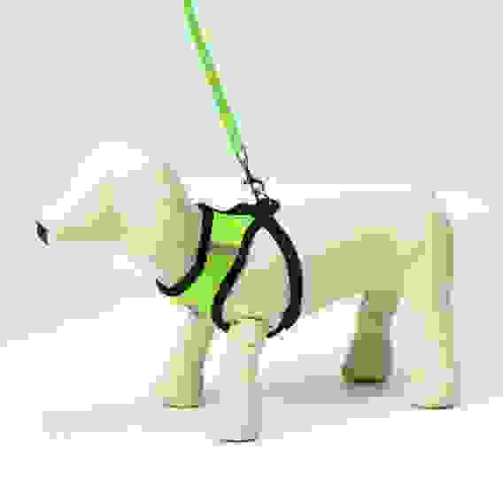 Шлейка с поводком, размер M, ОШ 26 см, ОГ 36-44 см, с светоотражающей нашивкой, мягкая, зелёная