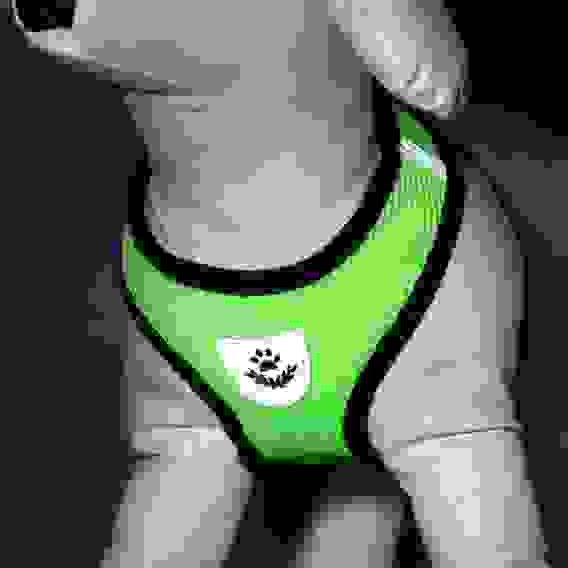 Шлейка с поводком, размер M, ОШ 26 см, ОГ 36-44 см, с светоотражающей нашивкой, мягкая, зелёная