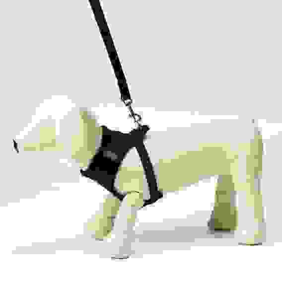 Шлейка с поводком, размер L, ОШ 33 см, ОГ 36-48 см, с светоотражающей нашивкой, мягкая, чёрная