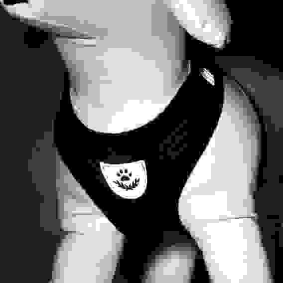 Шлейка с поводком, размер L, ОШ 33 см, ОГ 36-48 см, с светоотражающей нашивкой, мягкая, чёрная