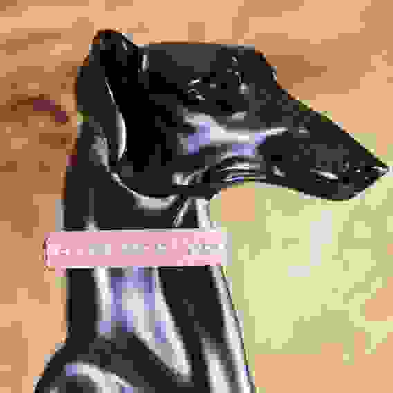 Ошейник «Бархат и стразы», 31×1.3/2 см, ОШ 22-28 см, розовый