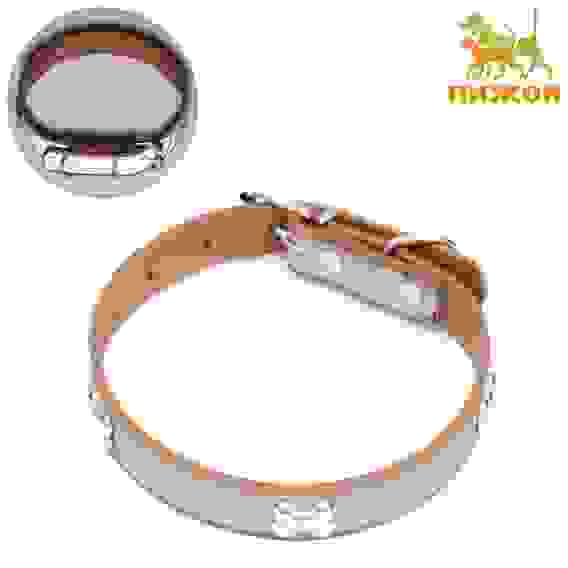 Ошейник со светоотражающей полосой и косточками, 45×2 см, цвет МИКС