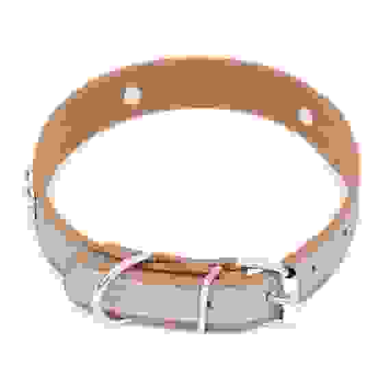 Ошейник со светоотражающей полосой и косточками, 45×2 см, цвет МИКС