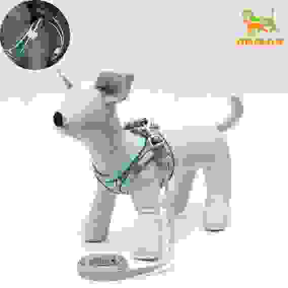 Шлейка с поводком, XS, ОШ 29-32 ОГ 31-34 см, поводок 150×1.5 см, быстросъёмная, мягкая, бирюзовая