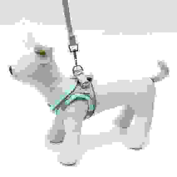 Шлейка с поводком, XS, ОШ 29-32 ОГ 31-34 см, поводок 150×1.5 см, быстросъёмная, мягкая, бирюзовая