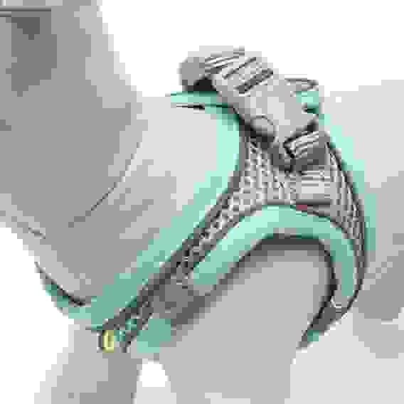 Шлейка с поводком, XS, ОШ 29-32 ОГ 31-34 см, поводок 150×1.5 см, быстросъёмная, мягкая, бирюзовая