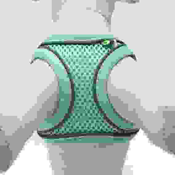 Шлейка с поводком, XS, ОШ 29-32 ОГ 31-34 см, поводок 150×1.5 см, быстросъёмная, мягкая, бирюзовая