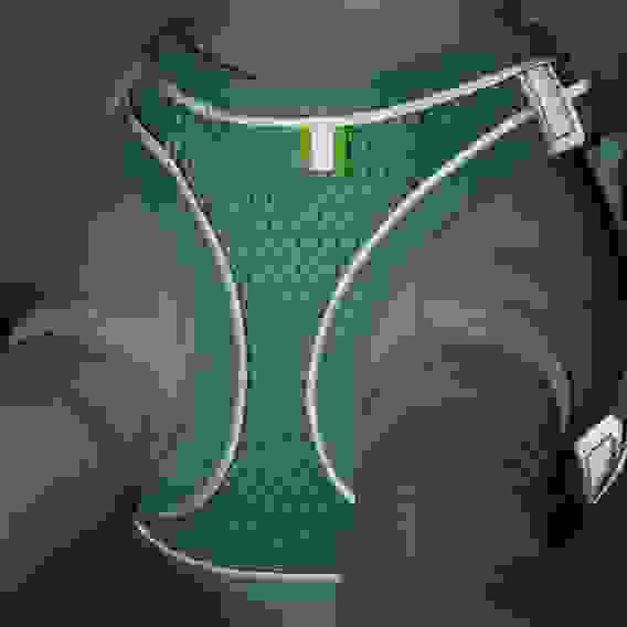 Шлейка с поводком, XS, ОШ 29-32 ОГ 31-34 см, поводок 150×1.5 см, быстросъёмная, мягкая, бирюзовая