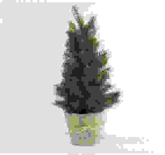 Ель декоративная в горшке, 40 см.Кол.веток 55шт. (MBP(X)-054)