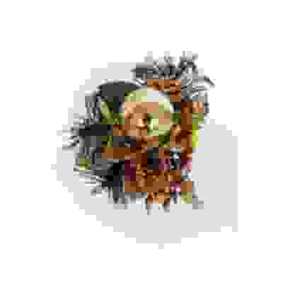 Букет НГ цв.золото (44) (TVR-210338G)