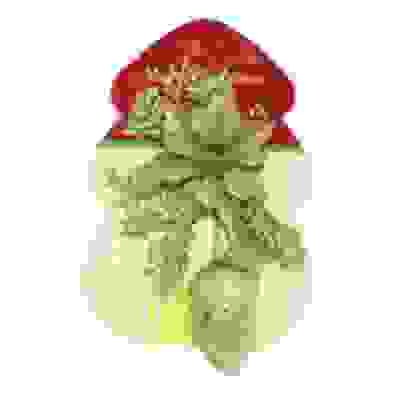 Ел. украшение с шишками 17х21 WB-2801 (113) (зол.)