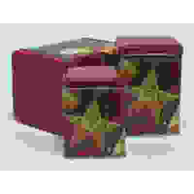 Новогодняя звезда, наб. банок жест.3шт.107016