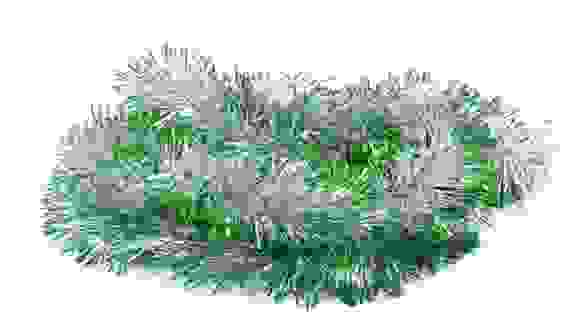 Мишура с цв. конч. d9см. дл.2м. MY-040 (сер-зел.)