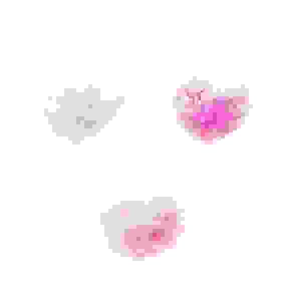 Шар воздушный с наполнителем перьями декоративными, 18&quot;, в наборе с палочкой и держателем, 3 цвета