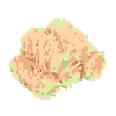 Акция! Роллы для розжига мангалов, барбекю, каминов и печей 5 шт. в уп. /48 BOYSCOUT