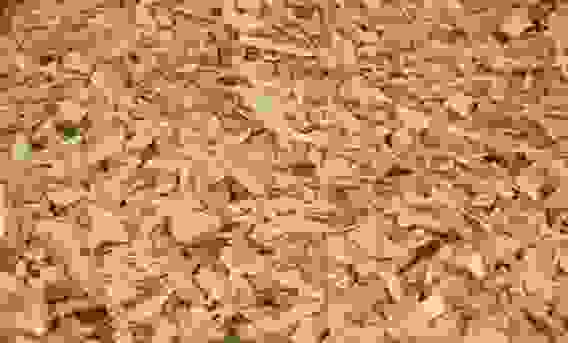 Щепа для копчения (Рябиновая 1дм3)