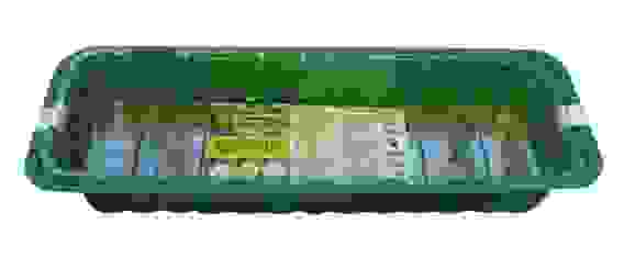 Парник с торфяными таблетками Крепыш® 14 ячеек