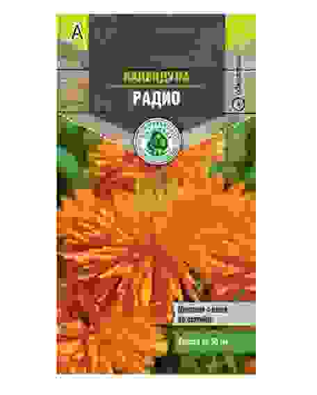 Семена Тимирязевский питомник цветы календула Радио оранжевая 0,5 г