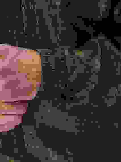 Костюм демисезонный "Каскад" куртка/брюки кмф "Соты зеленые", полофлис (64-66/3-4)