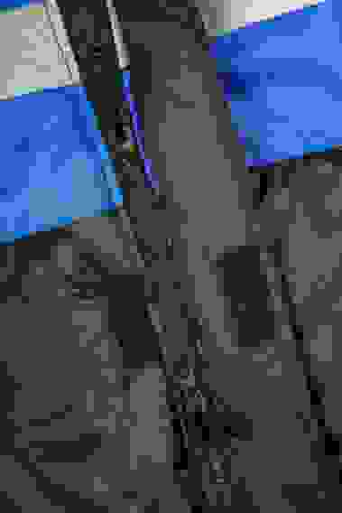 Костюм зимний "Профи" п/к васильковый/черный, тк. Оксфорд (48-50/5-6)