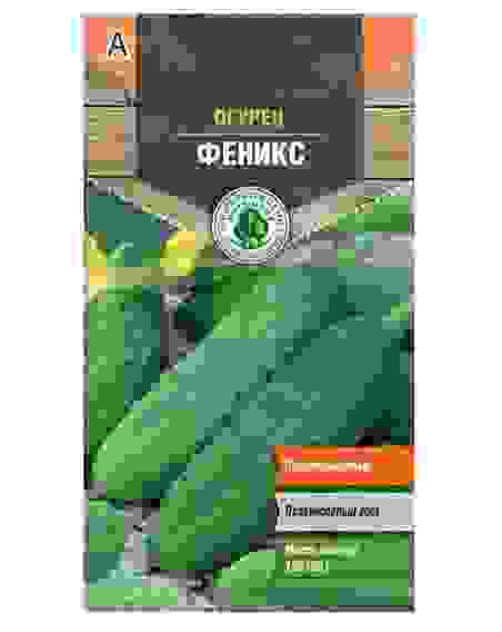 Семена огурец Феникс позднеспелый пчел 0,5 г Тимирязевский питомник