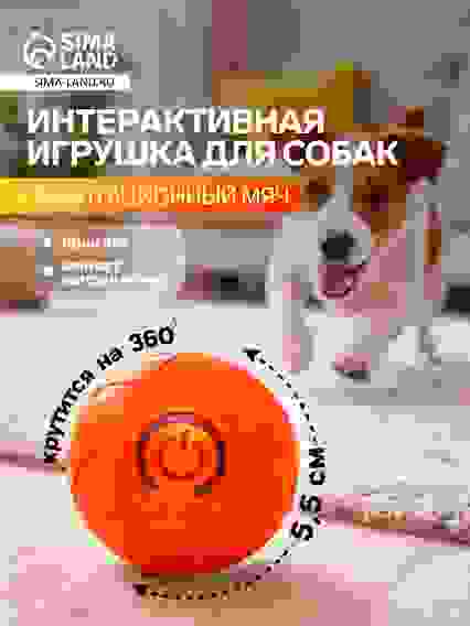 Интерактивная игрушка для собак «Гравитационный мяч», 5.5 см, оранжевая