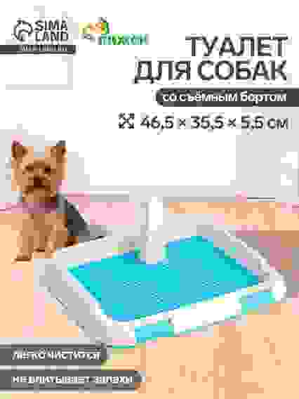 Туалет для собак, 46.5×35.5×5.5 см, со съёмным бортом, решёткой и столбиком, пластик, голубой