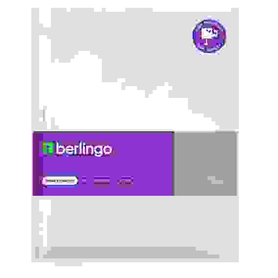 Папка-вкладыш с перфорацией Berlingo "Mirror", А4, 90мкм, глянцевая, в пакете